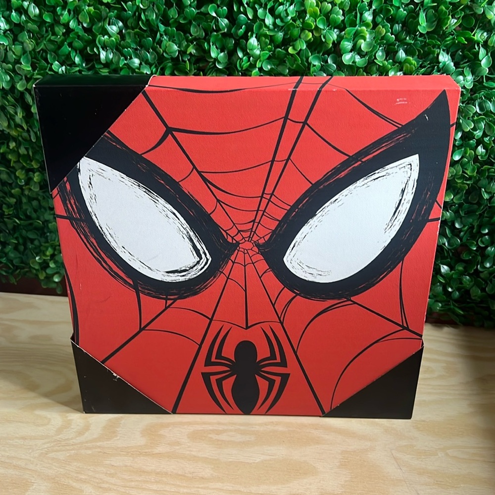 Marvel SpiderMan Canvas Wall Art Decor
